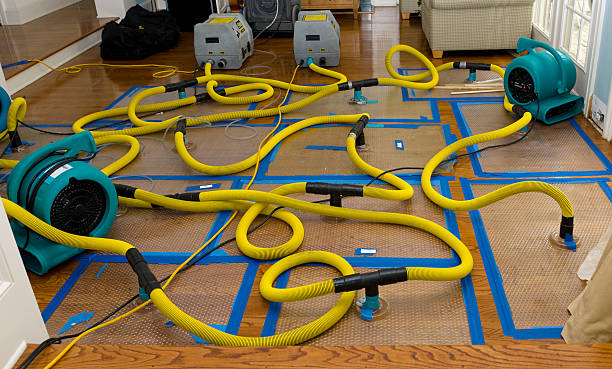 Professional Storm Water Damage Restoration technician working in Cummington, MA
